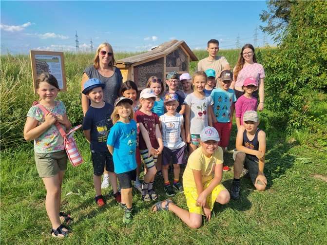 Für einen neuen Unterschlupf für zahlreiche Insekten, darunter auch bedrohte Tierarten, sorgten in der letzten Woche vor den Ferien 15 Kinder aus der Gemeinde Grafschaft. Foto: privat