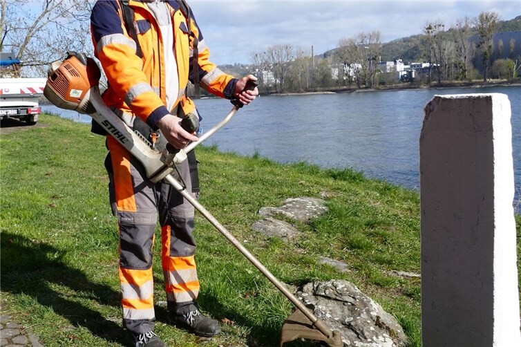 Für ihn der schönste Arbeitsplatz in der Region: Viktor Schawrin arbeitet am Rheinufer vor der historischen Stadtmauer von Rhens – mit Blick auf das wunderschöne Mittelrheintal.