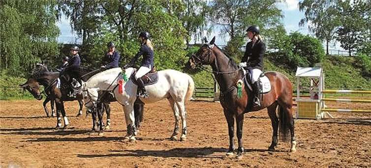 Für ihre tollen Leistungen wurden Pferde und Reiter ausgezeichnet. privat
