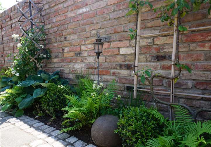 Für jeden Standort gibt es passende Pflanzen. Der Farn genießt ein schattiges Plätzchen.