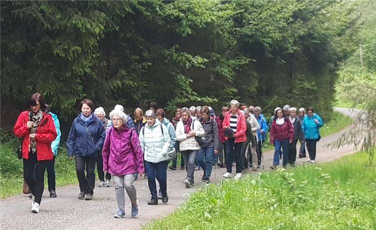 Fußmarsch zur Fatima-Kapelle.  Foto: privat