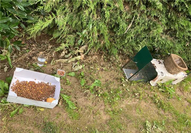 Futter und Wasserstellen stehen an insgesamt 20 Stellen.Fotos: privat