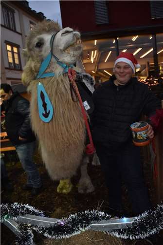 Futterspenden für dieses Kamel wurden auf dem Weihnachtsmarkt von einem Circus g...