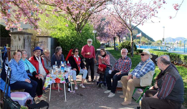 Gabriele Fischer-Wilms (2. v. l.) und Heinz Wilms (3. v. l.) freuten sich mit gut gelaunten Gästen die Kirschblüte zu feiern. Foto: -HG-