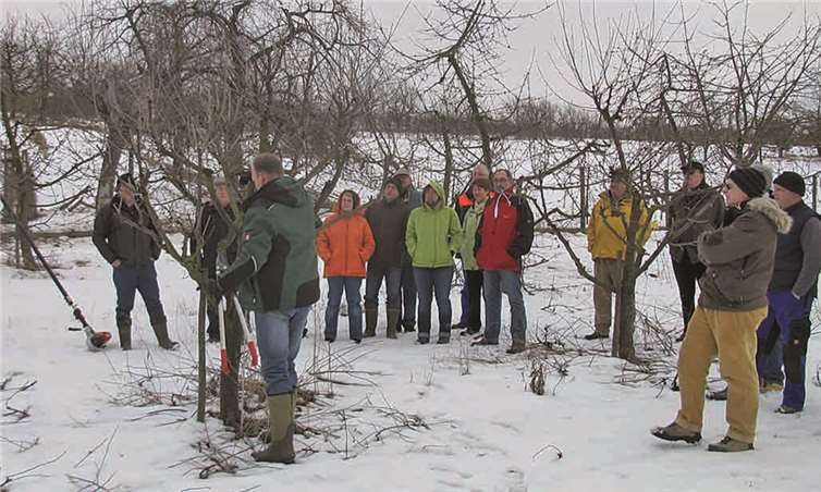 Gärtnermeister Thomas Schneider erklärte an verschiedenen Obstarten, wie die Bäume richtig zu schneiden sind.privat