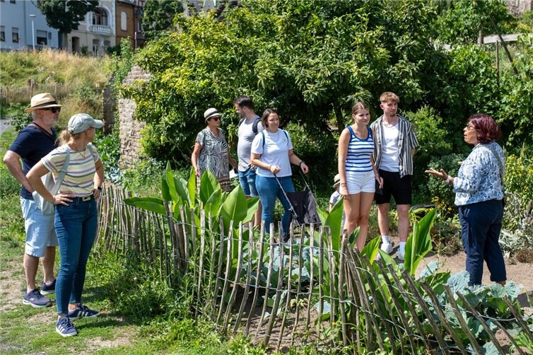 Gästeführerin erklärt die Essbare Stadt an der Stadtmauer