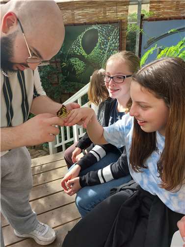 Ganz in echt und zum Anfassen nah konnten die Kinder die Welt der Krabbeltiere im Schmetterlingshaus Sayn erleben.