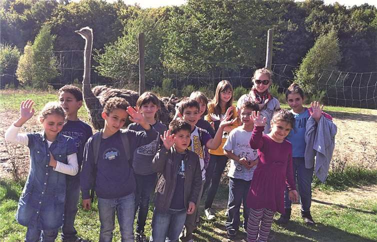 Ganz nah dran: Meckenheimer Kinder auf dem Gemarkenhof bei den Straußen.  Stadt Meckenheim