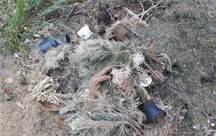 Gartenabfall im Bereich des Parkplatzes am Nastberg und am Mennonitenfriedhof in Eich.Fotos: Andernach.net GmbH