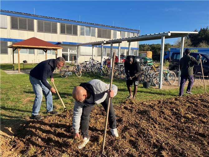 Gartenprojekt: Gemeinsam legen Geflüchtete und Wachtberger Ehrenamtler ein Beet an.  Foto: Gemeinde Wachtberg/ka