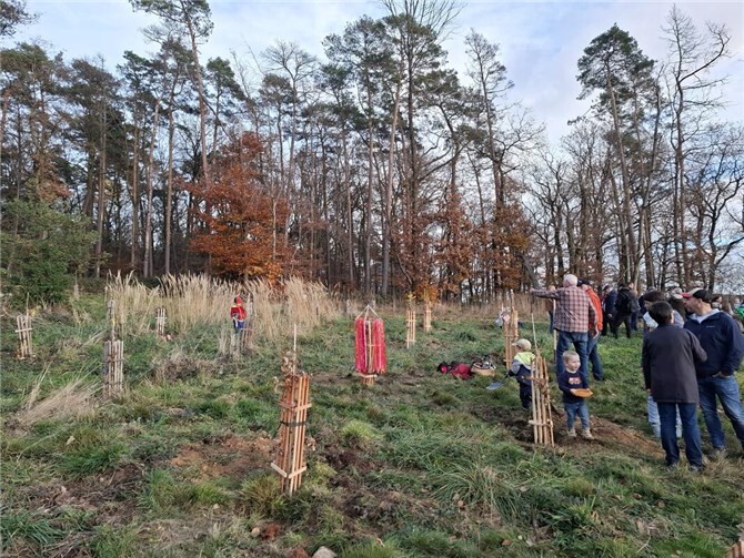 Gedenkbäume als lebendige Erinnerungen in Löhndorf.