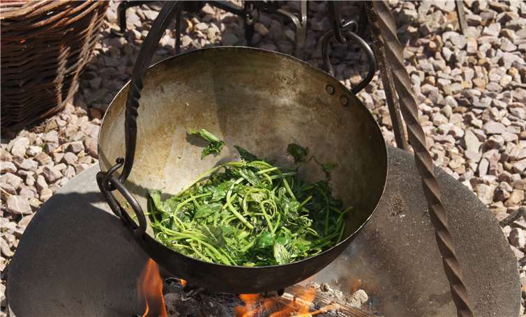 Gedünsteter Giersch wurde serviert.