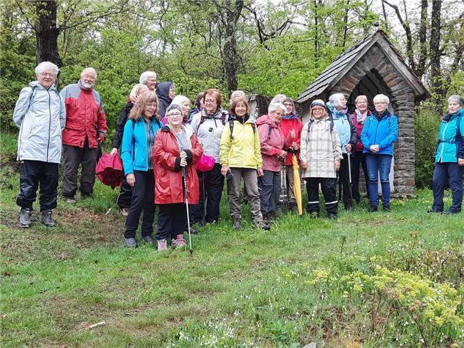 Geführt von Landfrau Hannelore van Loenen startete die Truppe auf dem Rotweinwanderweg entlang des Weinanbaugebietes.  Foto: privat