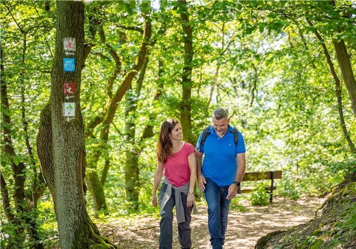 Geführte Wanderungen, Wanderungen mit dem Eifelverein, Wanderungen mit dem Förster und Waldbaden sind laut neuer Rechtsverordnung der 24. Corona-Bekämpfungsverordnung wieder zulässig.Foto:Tourist-Info Bad Breisig