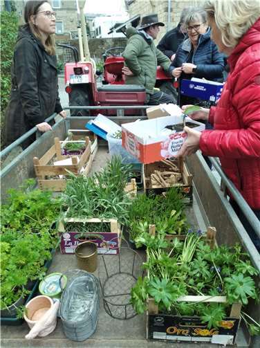 Gegen eine Spende konnten Gewächse oder Sämereien auch mit nach Hause genommen werden.