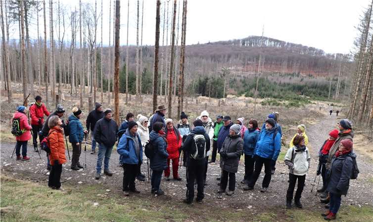Gehen auch dahin, wo es „weh tut“ und der Wald bereits in weiten Teilen abgestorben ist, wie hier vor wenigen Wochen auf dem Köppel: eine Wandergruppe des Westerwald-Vereins Buchfinkenland. Foto: Uli Schmidt