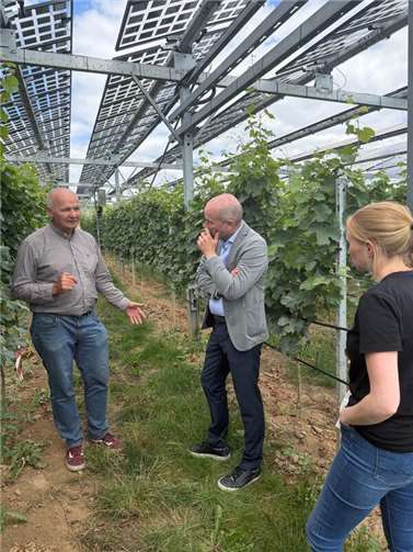 Geisenheim - Professor Stoll erläutert die Vorteile der Agri PV Anlage - Professor Stoll, Guido Mombauer und Julia Baltes.  Foto:Bongart/Zukunftsregion Ahr e.V.