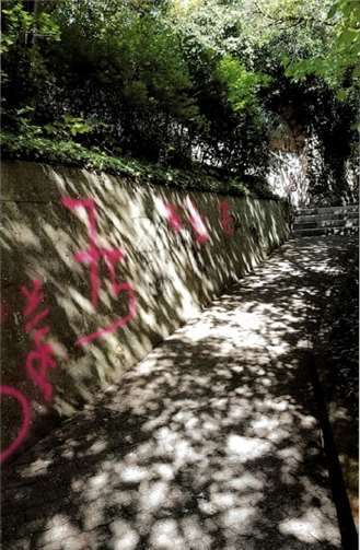 Geländer und Wände in Weißenthurm wurden von Unbekannten besprüht. Fotos: Polizei