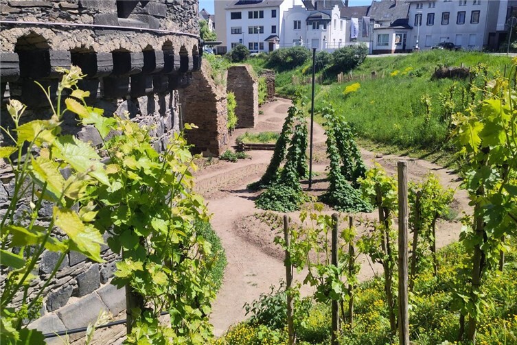 Gelungene Stadtbegrünung in Andernach