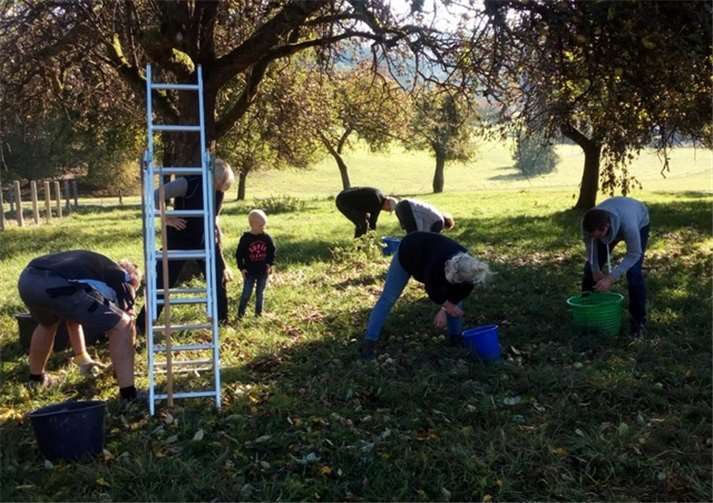 Gemeinderatsmitglieder hatten im Vorfeld Äpfel gesammelt und daraus Saft gepresst, der an die Senioren verschenkt wurde.