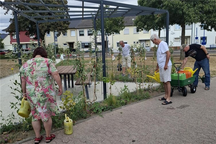 Gemeinsam für das Stadtgrün: Mitglieder der Bürgerinitiative gießen junge Bäume am Breslauer Platz und helfen ihnen, die sommerliche Hitze zu überstehen.