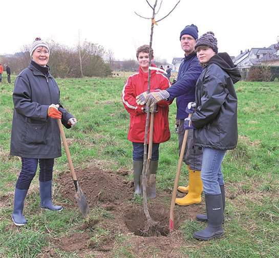 Gemeinsam geht’s leichter, und so wird die Baumpflanzaktion zum Familienerlebnis. Gemeinde Wachtberg/mm