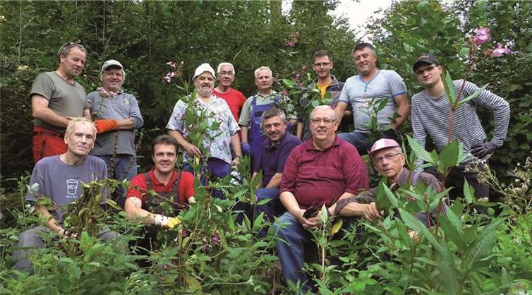 Gemeinsam gingen die Helfer gegen das „Indische Springkraut“ vor. privat