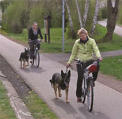 Gemeinsam legte das Hund-Mensch-Team 20 Kilometer zurück. privat