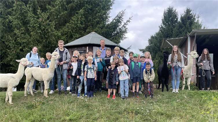 Gemeinsam mit Alpakas wanderten die Pänz der Unkeler Ferienfreizeit über die Bruchhausener Höhe.Foto: Hendrik Müller