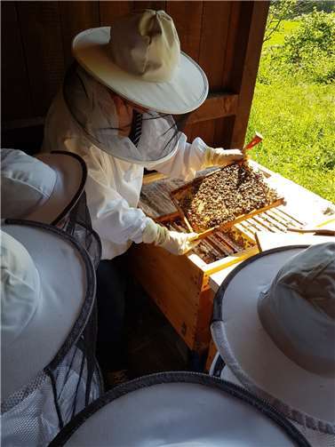 Gemeinsam mit Imkerin Christa Schäfer gingen die Kindergartenkinder am Bienenstock auf Entdeckungstour.