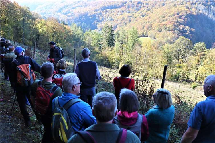 Gemeinsam mit anderen macht das „Erlebnis Natur“ noch mehr Freude, es warten wieder tolle Wanderungen im Programm. Foto: privat
