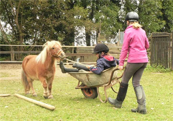 Gemeinsam mit den Ponys werden die Kinder viel Spaß am Schwanenteich haben. privat