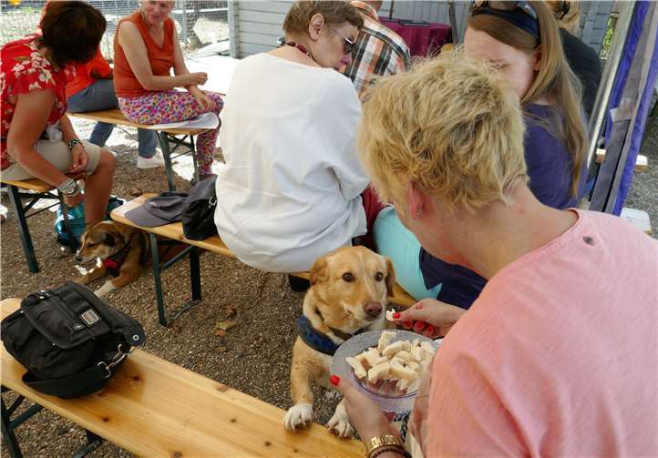 Gemeinsam mit den Tieren wurde das Brot geteilt. privat