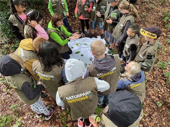 Gemeinsam nahmen die Schüler der Janusz-Korczak-Schule den Wald unter die Lupe.  Foto: privat