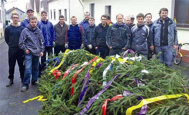 Gemeinsam schmückten und stellten die Westumer Junggesellen den traditionellen Dorfmaibaum.  privat