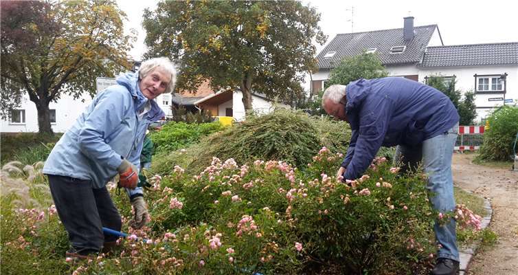 Gemeinsam soll mit angepackt und der Weiher sowie seine Umgebung winterfest gemacht werden. Foto: privat