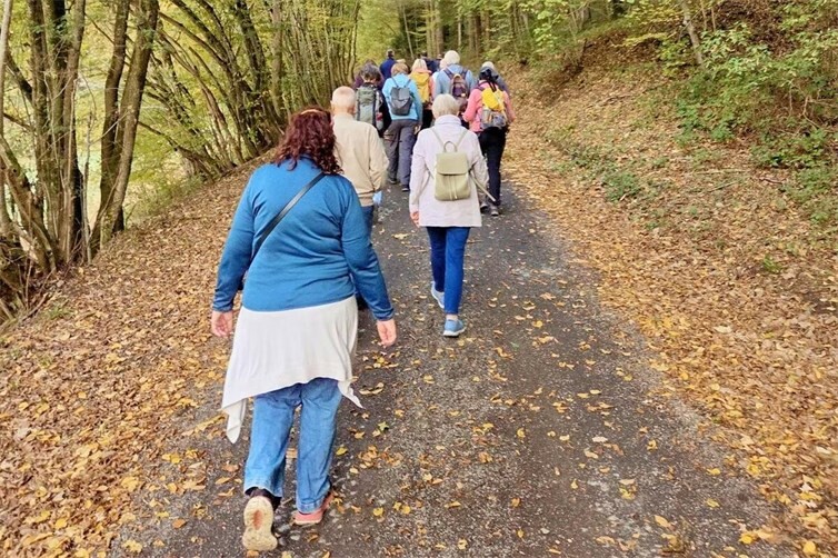 Gemeinsam unterwegs durch den herbstlich bunten Wald - das Ziel vor Augen.