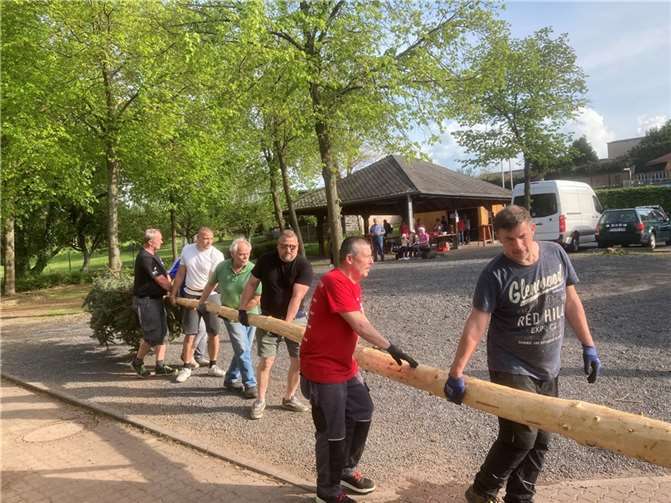 Gemeinsam wurde der Maibaum an seinen Platz gebracht.