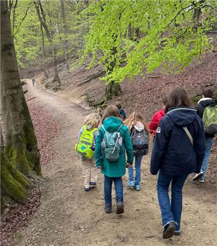 Gemeinsam wurde die Natur erkundet.Foto: privat