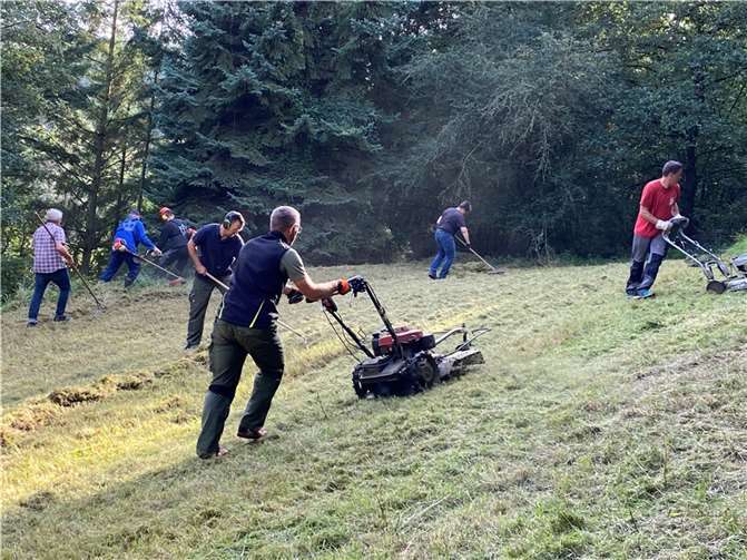 Gemeinsam wurde die Wiese gemäht. Foto: Karl – Heinz Hoffmann