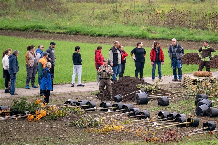 Gemeinsam wurde gepflanzt. Foto: privat