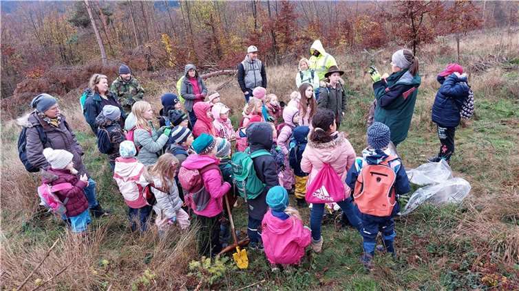 Gemeinsam wurden 100 Eichen und Tannen im Gemeindewald gepflanzt.