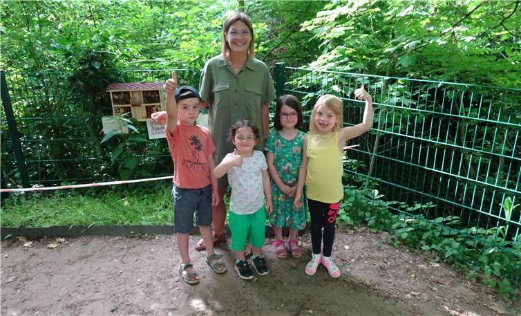 Gemeinsam wurden viele Käfer einmal genauer unter die Lupe genommen. Foto: Kita St. Marien