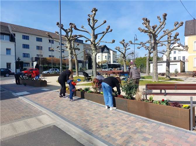 Gemeinsame Pflanzaktion am 11. April am neuen Hospitalplatz in Mendig. Fotos: Stadt Mendig
