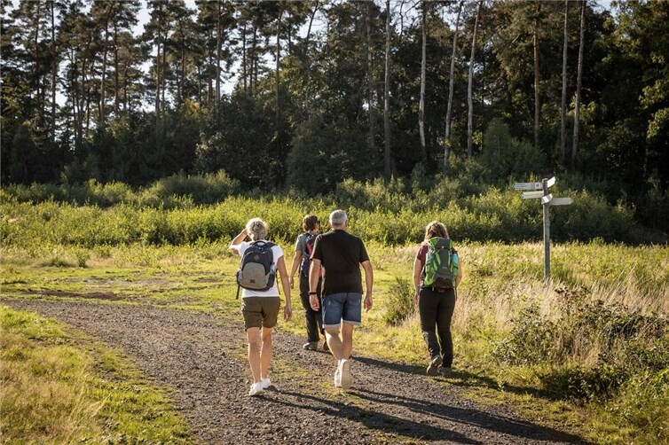 Gemeinsamer Spaziergang