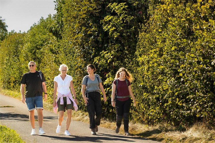 Gemeinsamer Spaziergang durch die Natur