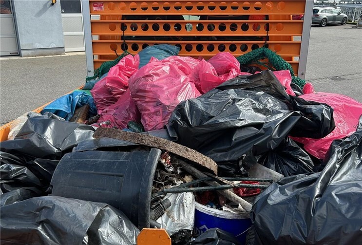 Gemeinschaftlich gesammelt und dann professionell vom Bauhof entsorgt. 