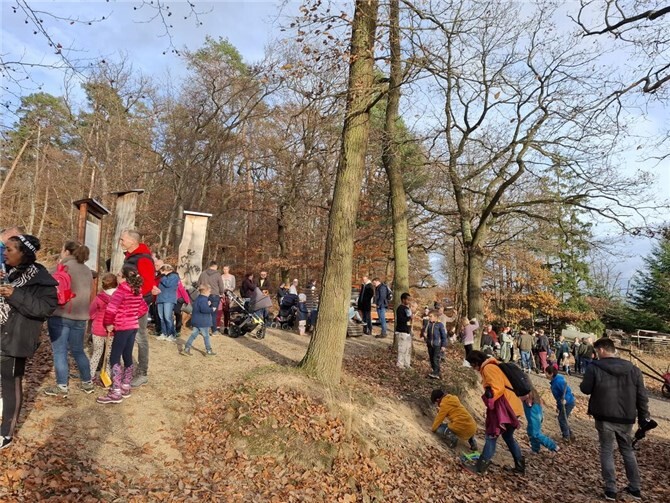 Gemeinschaftliches Pflanzen im Generationenwald von Löhndorf. Fotos: Stadtverwaltung Sinzig