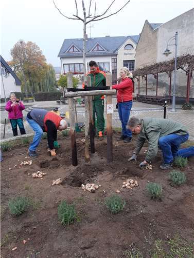 Gemensam wurde angepackt.  Fotos: privat