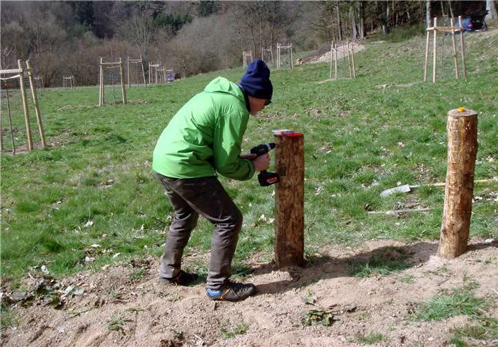 Georg Schiffer bohrt Löcher für Insekten. Foto: privat